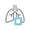Lung
